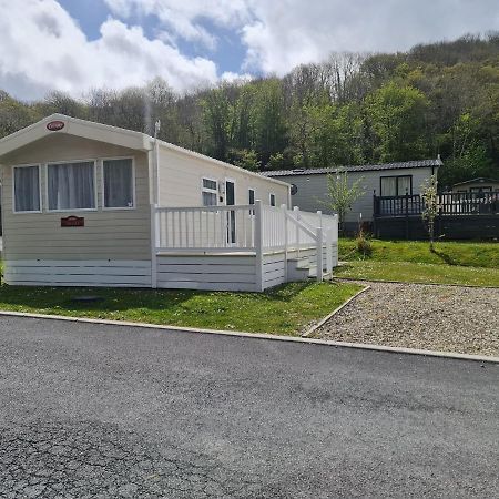 The Tiddler - Plot 101, Woodlands Lodge Retreat, New Quay, West Wales Llanina 외부 사진